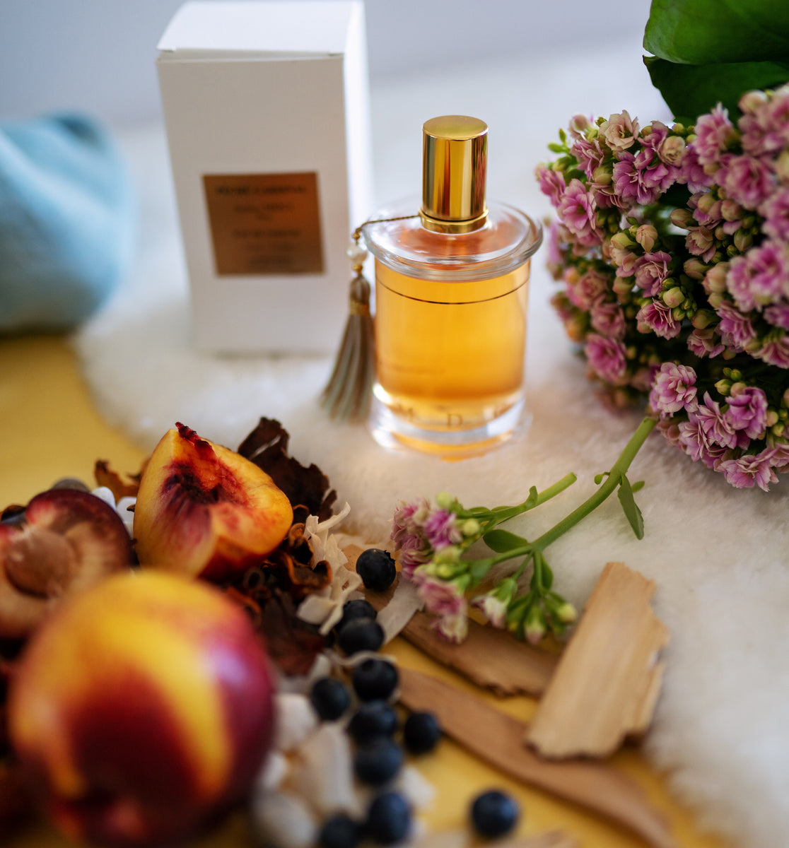 MDCI Peche Cardinal – Daniel and Marusa 